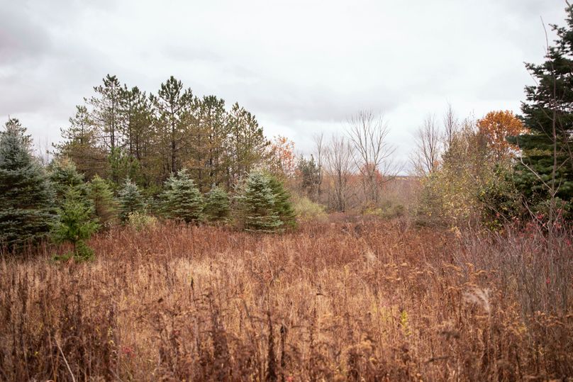 VGF5bG9yIGNoZW11bmcgNTguMjAgMjQ=