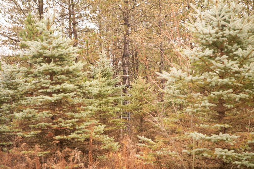 VGF5bG9yIGNoZW11bmcgNTguMjAgMjU=