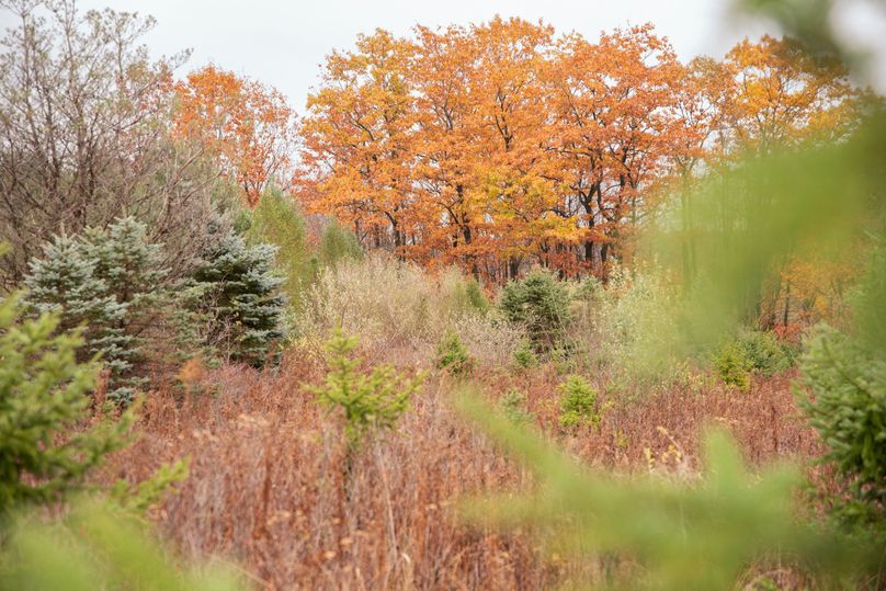 VGF5bG9yIGNoZW11bmcgNTguMjAgMjY=