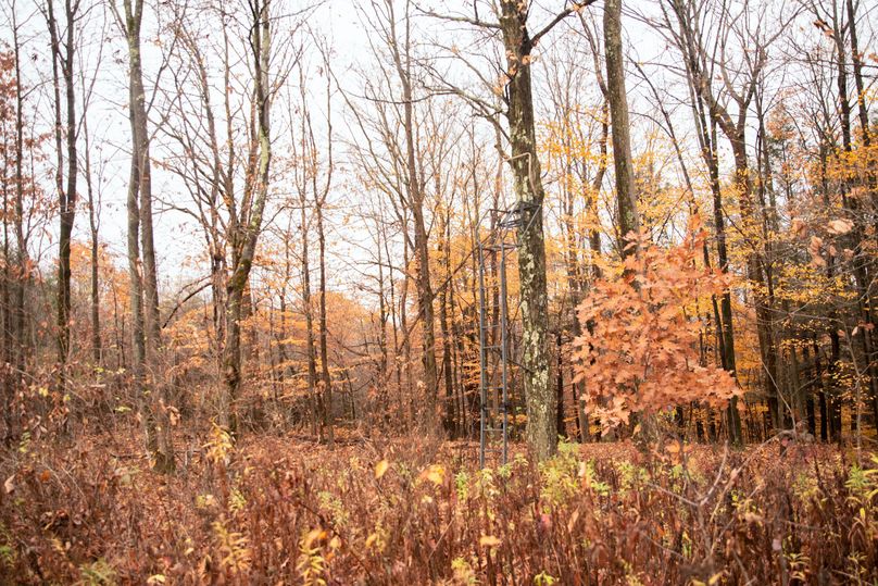 VGF5bG9yIGNoZW11bmcgNTguMjAgMjc=