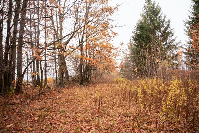 VGF5bG9yIGNoZW11bmcgNTguMjAgMjg=