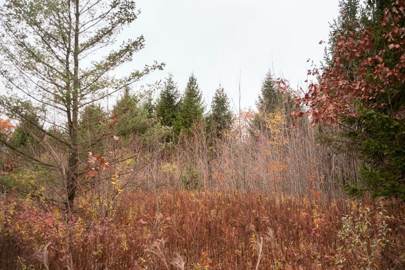 VGF5bG9yIGNoZW11bmcgNTguMjAgMjk=