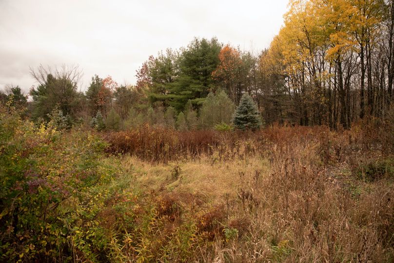 VGF5bG9yIGNoZW11bmcgNTguMjAgMg==