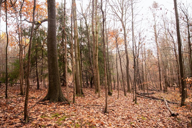 VGF5bG9yIGNoZW11bmcgNTguMjAgMjA=