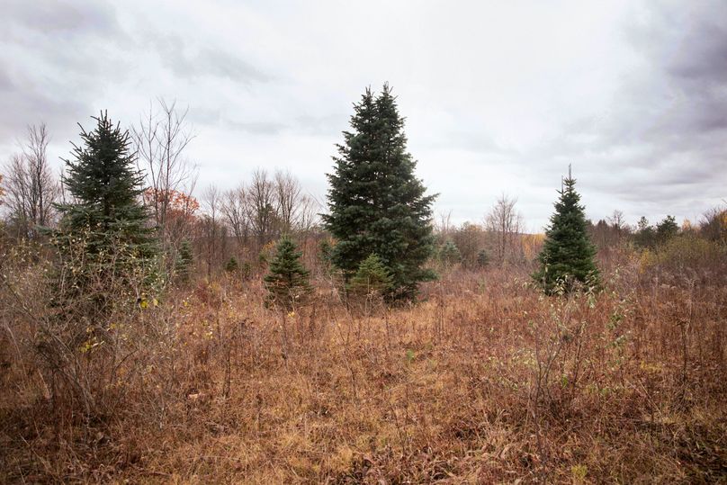 VGF5bG9yIGNoZW11bmcgNTguMjAgMjM=