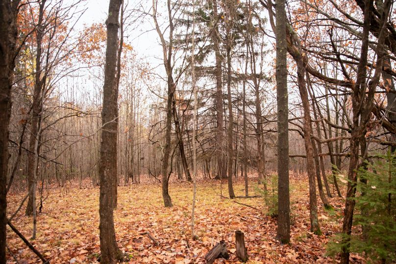 VGF5bG9yIGNoZW11bmcgNTguMjAgMzQ=