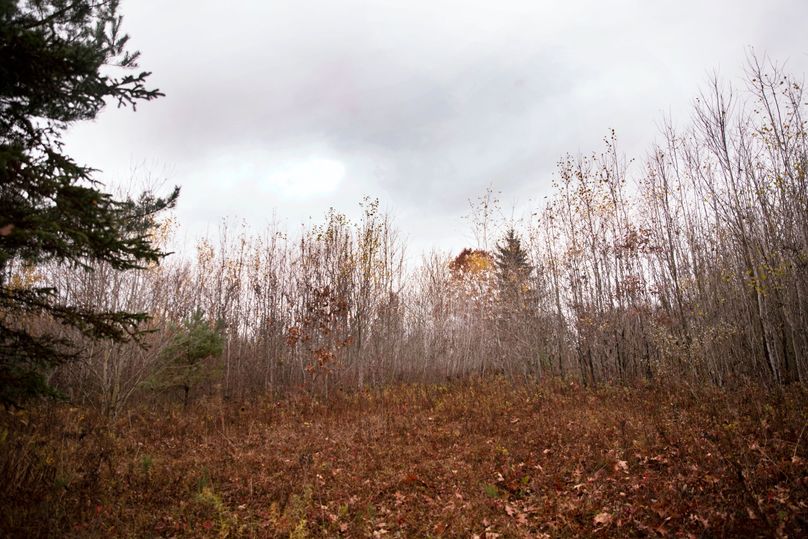 VGF5bG9yIGNoZW11bmcgNTguMjAgMzU=