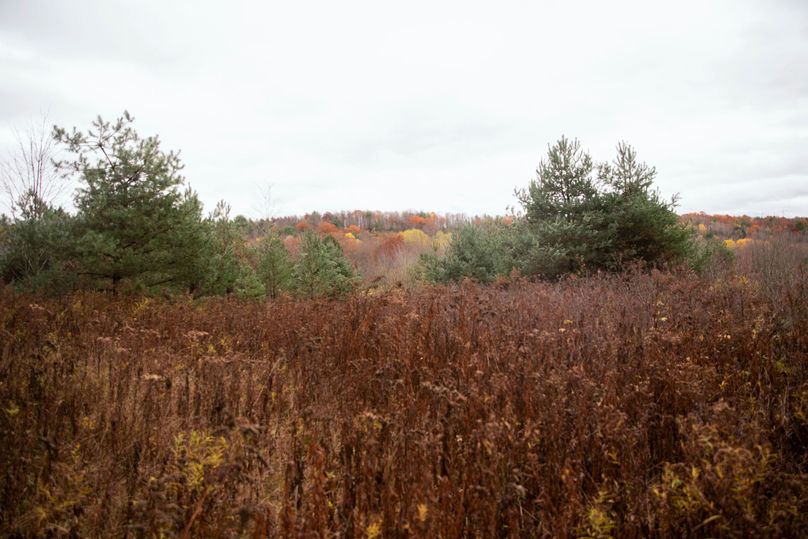 VGF5bG9yIGNoZW11bmcgNTguMjAgMzY=