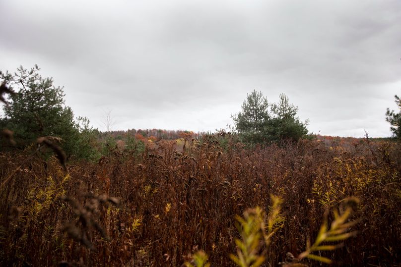 VGF5bG9yIGNoZW11bmcgNTguMjAgMzc=