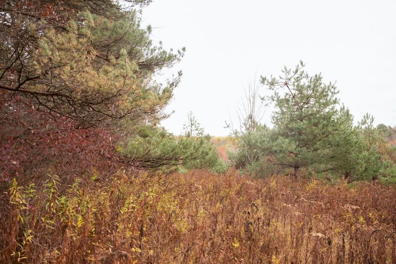 VGF5bG9yIGNoZW11bmcgNTguMjAgMzg=