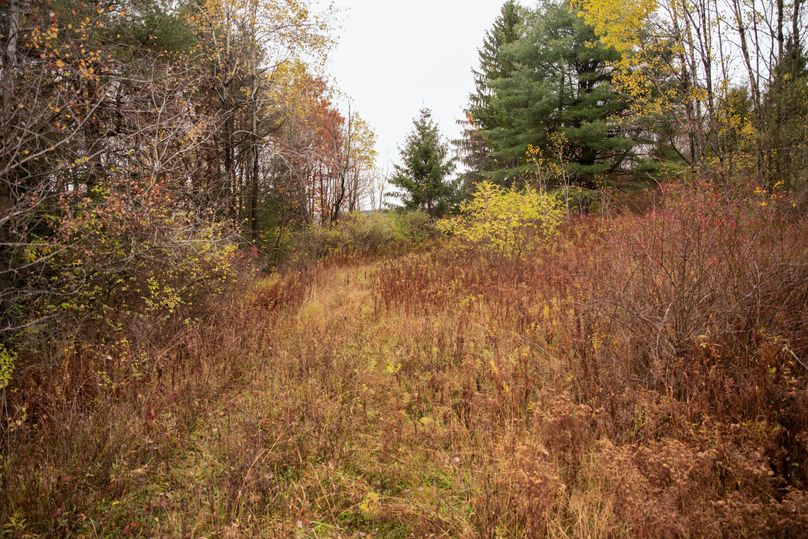 VGF5bG9yIGNoZW11bmcgNTguMjAgMw==