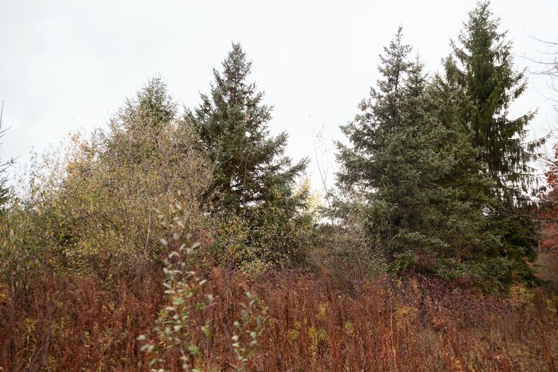 VGF5bG9yIGNoZW11bmcgNTguMjAgMzA=