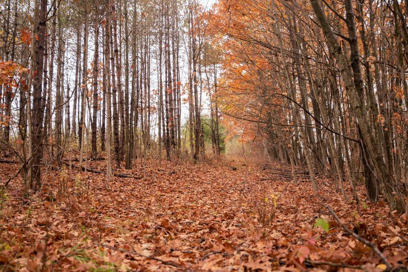 VGF5bG9yIGNoZW11bmcgNTguMjAgMzE=