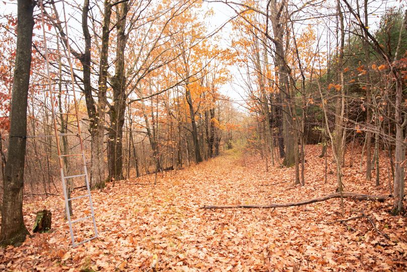 VGF5bG9yIGNoZW11bmcgNTguMjAgMzI=