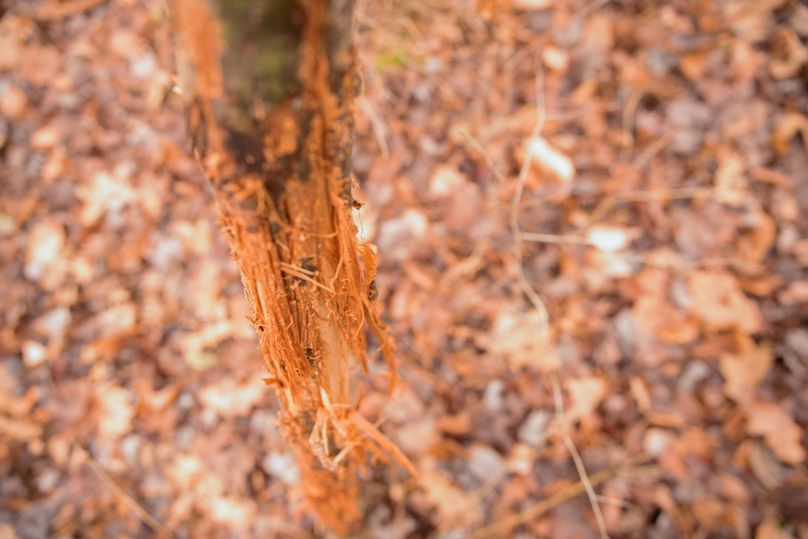 VGF5bG9yIGNoZW11bmcgNTguMjAgMzM=