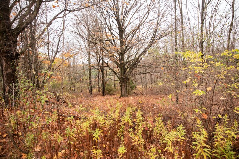 VGF5bG9yIGNoZW11bmcgNTguMjAgNA==