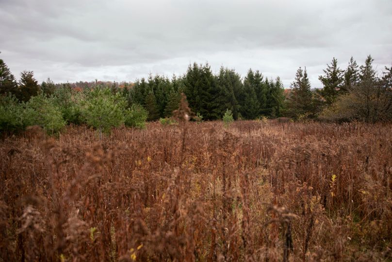 VGF5bG9yIGNoZW11bmcgNTguMjAgNDA=