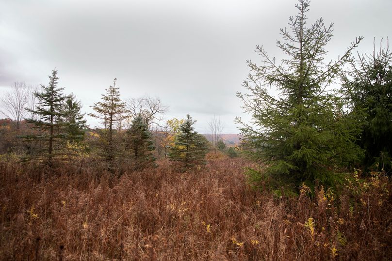 VGF5bG9yIGNoZW11bmcgNTguMjAgNDE=