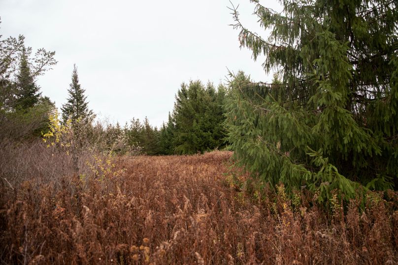 VGF5bG9yIGNoZW11bmcgNTguMjAgNDI=