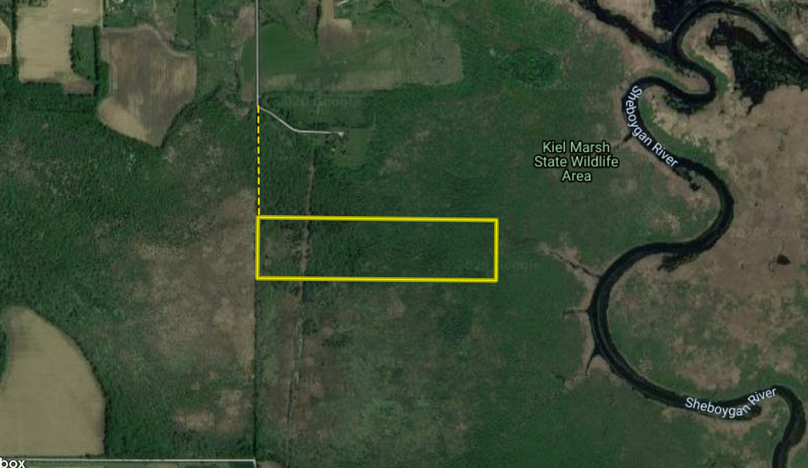 Screen shot 2020-11-30 at 8.28.47 am