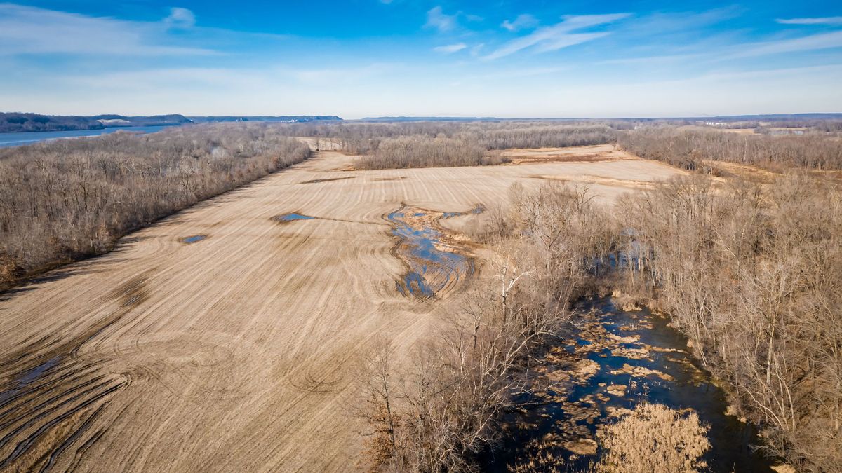 Top Shelf Midwest Waterfowl And Deer Hunting Farm For Sale Whitetail
