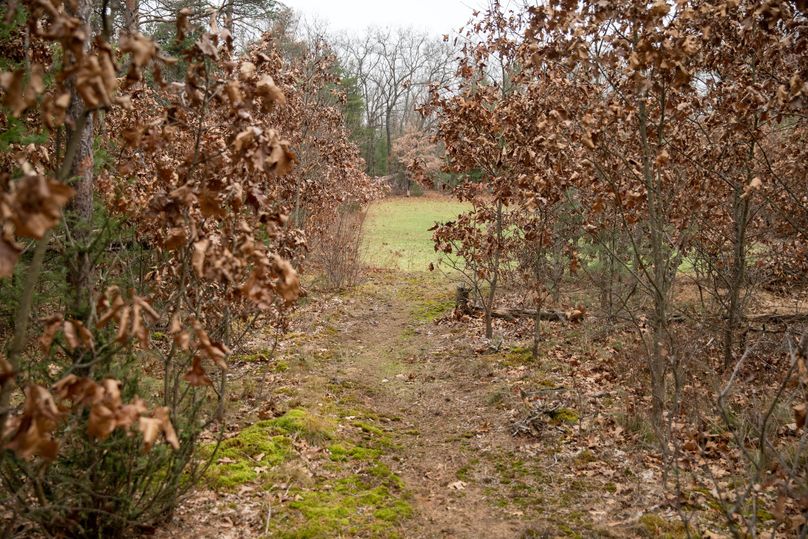15 winding trails to access every food plot