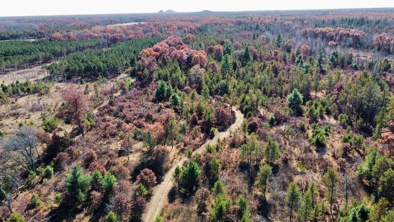 dji_fly_20241024_130406_495_1730406260323_photo_optimized