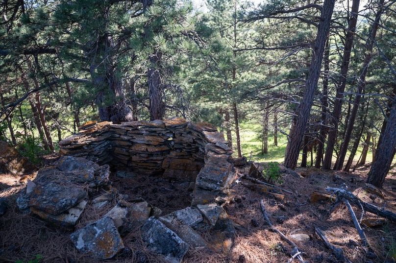 CC06D4CA-E2D0-4B80-AA7F-1ED874705A78