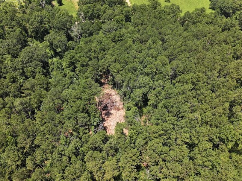 dji_fly_20250708_124256_0223_1752089877683_photo