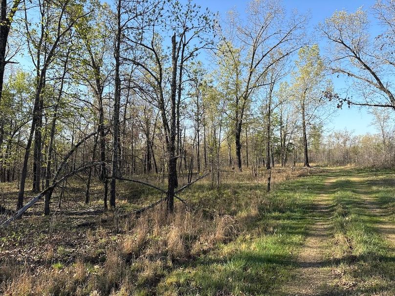 DJI_20260409_085532_382