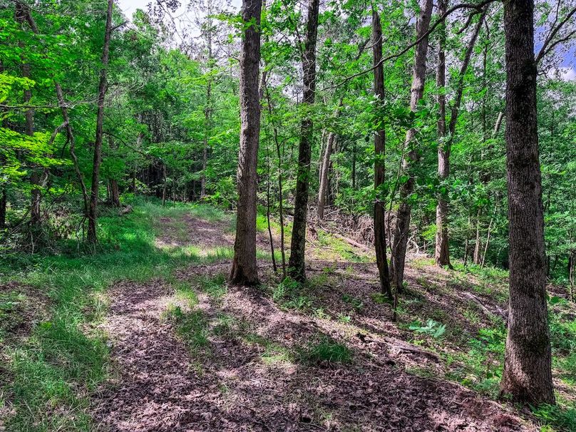 Wirt, WV 137.45 AC Full-59