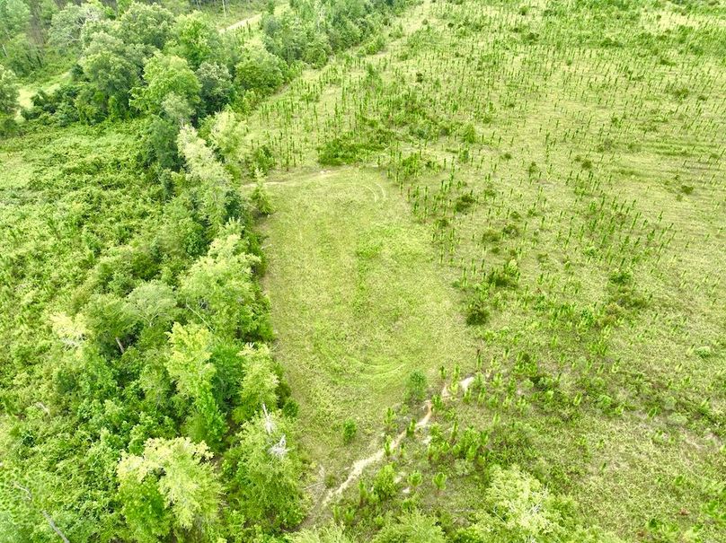 dji_fly_20240710_135348_550_1720634595074_photo