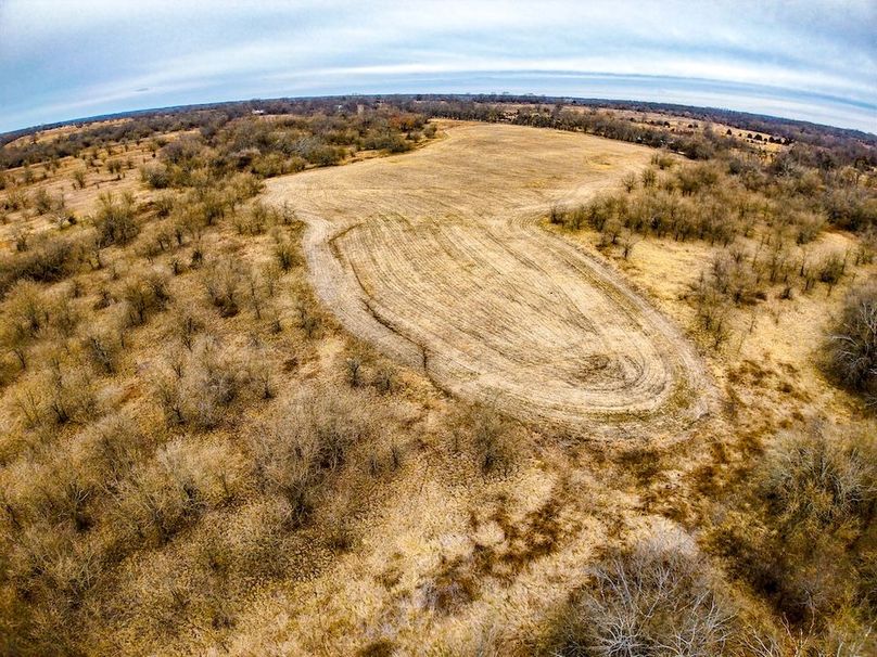 DJI_20260119091934_0677_D