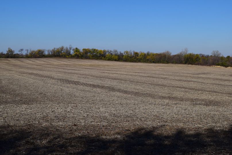 7 will co il 85.27 ac. tract 1-2