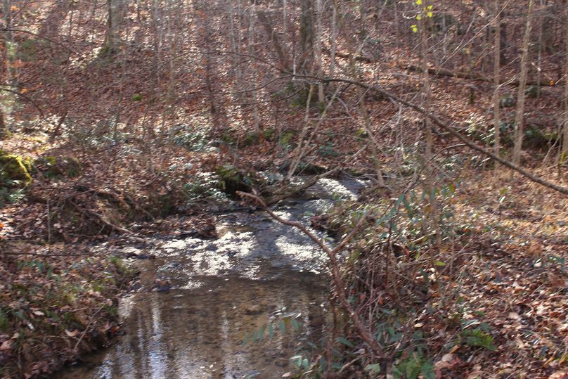 Creek 4