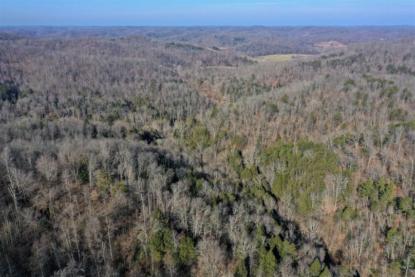 003 drone shot from the center of the property looking to the northwest