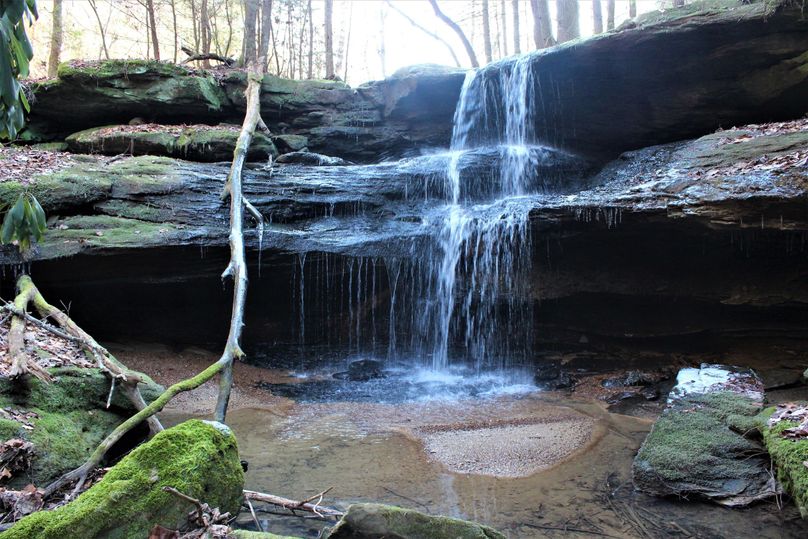 001 nature s finest on display