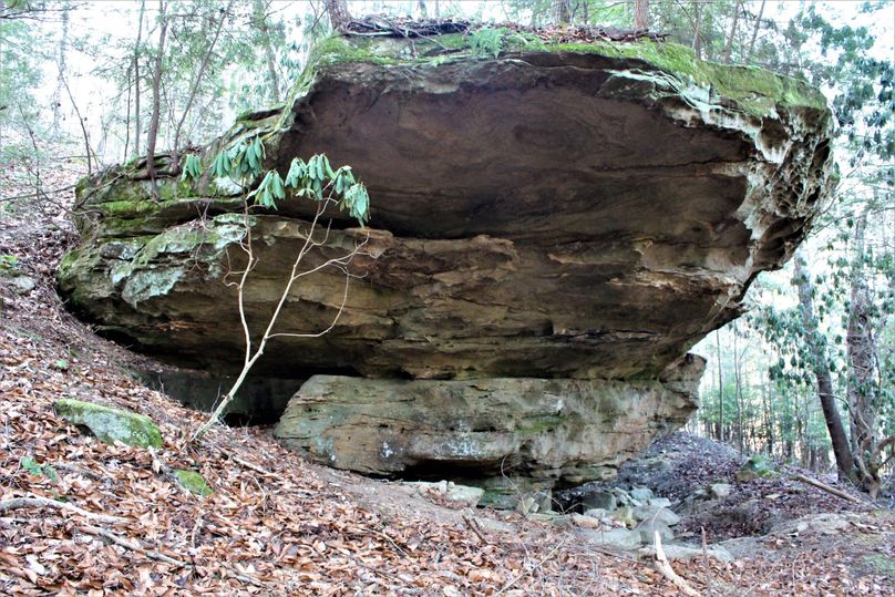 002 impressive boulder...where did it come from 