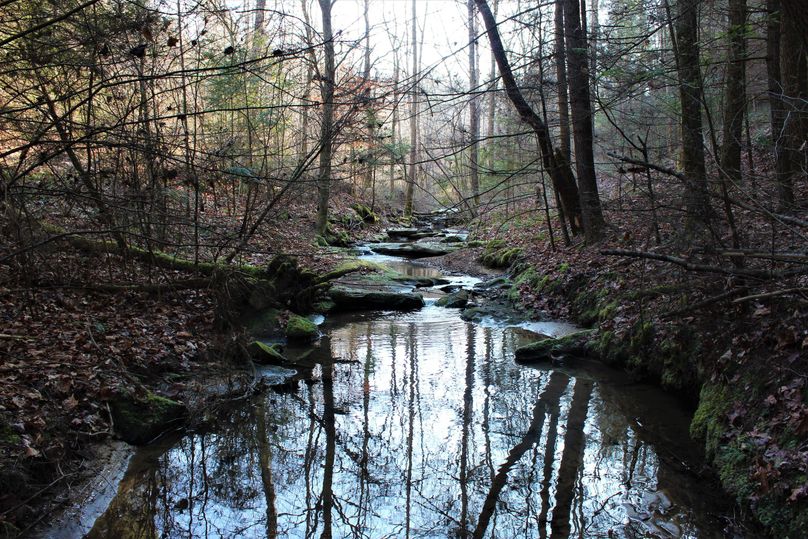 007 does it get anymore peaceful than this 