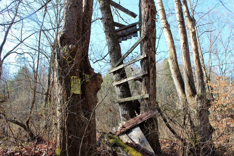 009 hmmm, looks like someone thought this was a good ambush point a few years ago