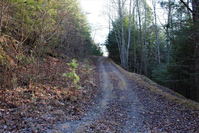 010 access road leading through the main gate