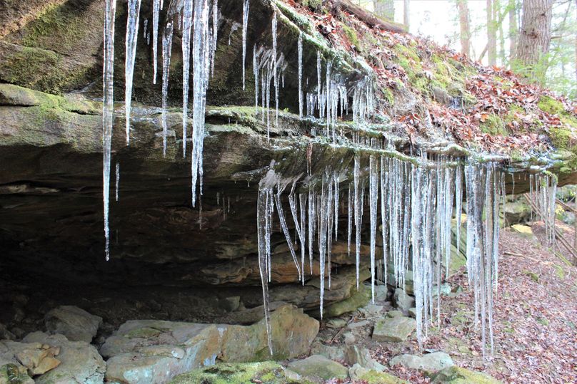 012 how cool and amazing nature is...literally, burr
