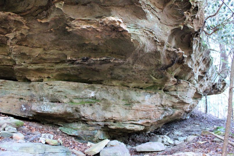 014 amazing texture of a giant boulder, probably a few years old i m guessing