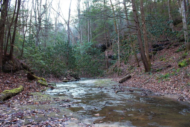 015 flat rock stream bed, looks like pavement almost