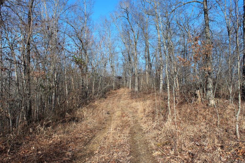 016 hardwood ridge with abundant white oaks for producing those sweet nuggets