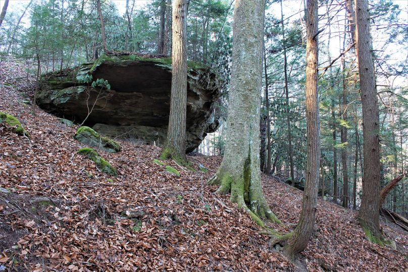 018 huge boulder settled there a few years back