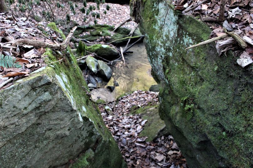 019 little bit of a tight squeeze to get through to get down to the stream