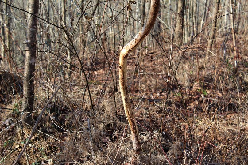 027 yep, its exactly what you think it is, loads of them throughout