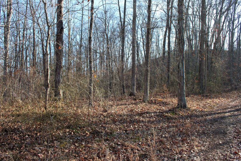 025 secondary point coming into the main ridge