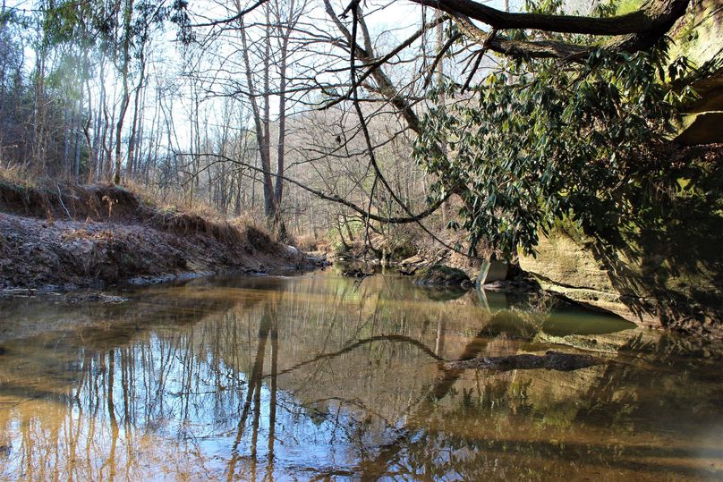 026 main blueline stream near the entrance through the gate at the west boundary